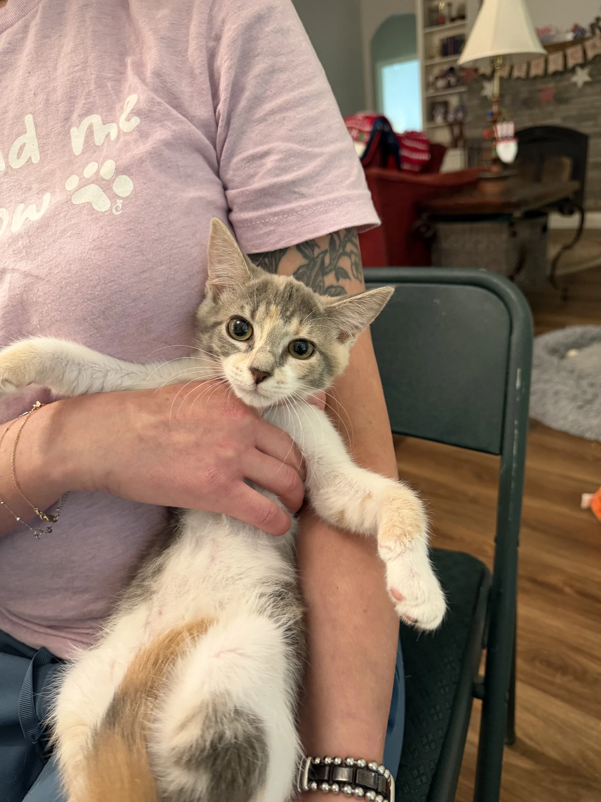 Bombshell Available For Pre-Adoption