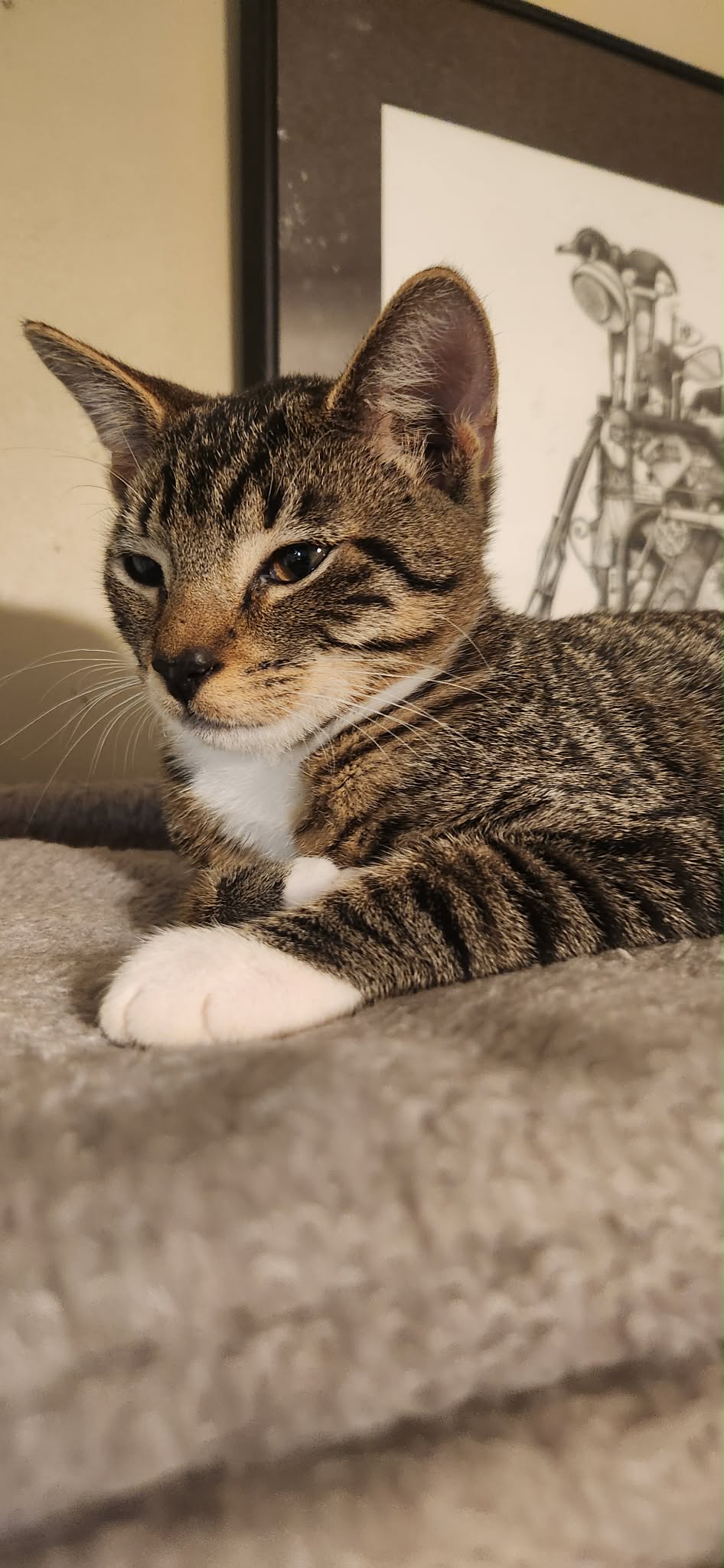 Stubbs, photo 2
