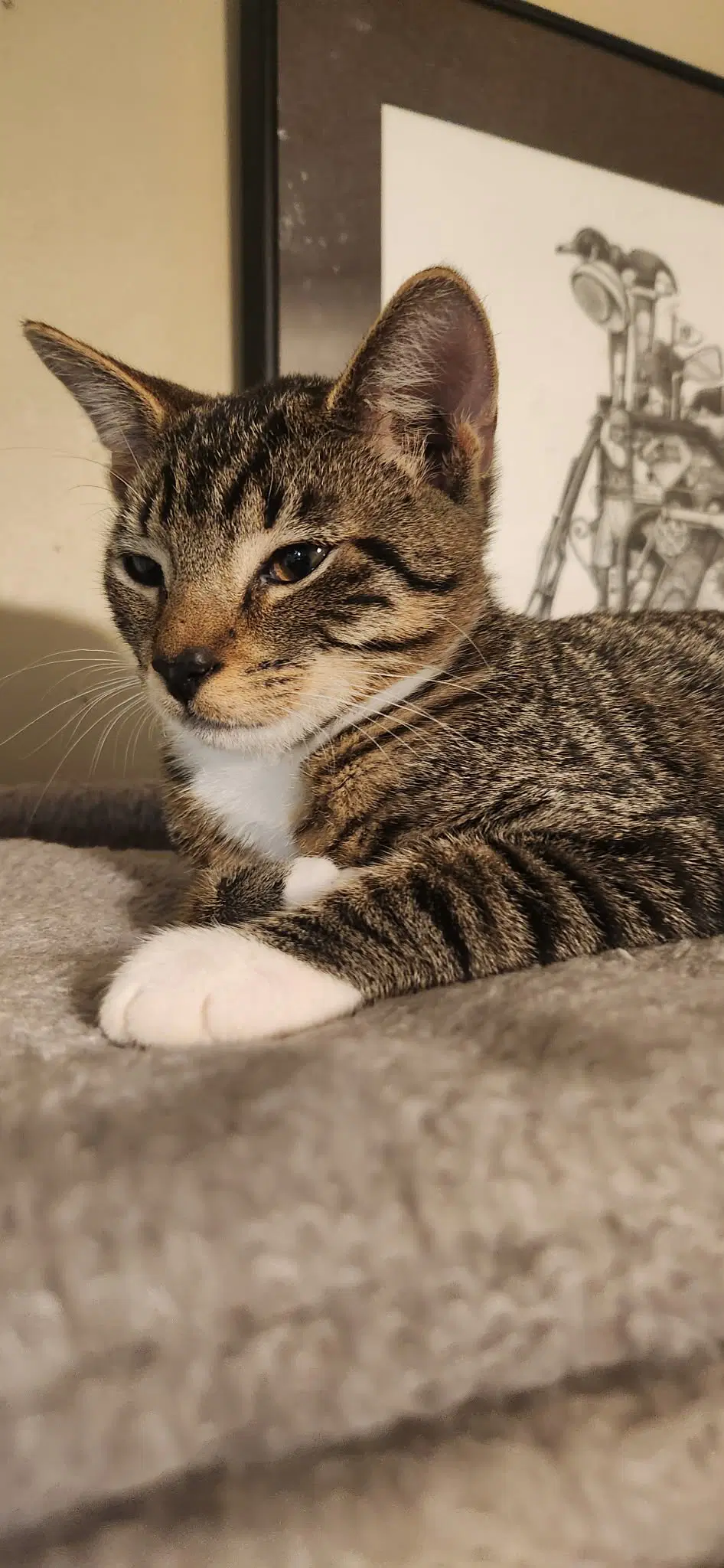 Stubbs image 2