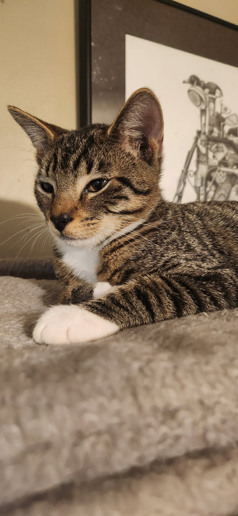 Stubbs, photo 2
