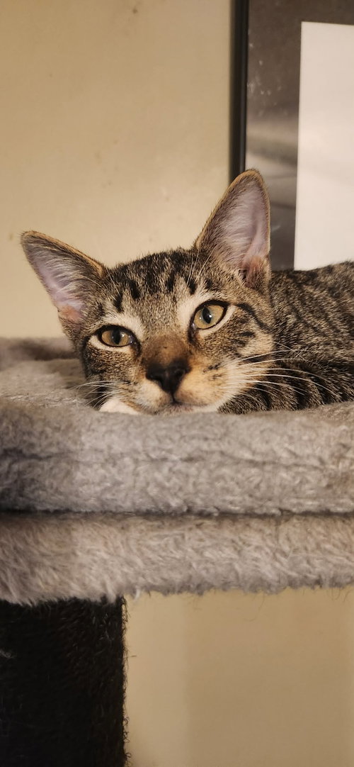 Photo 3 of Stubbs