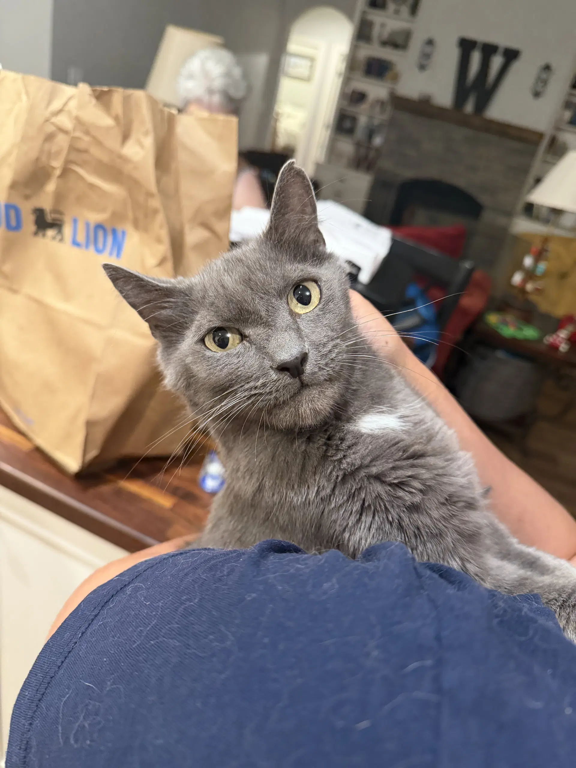 Pawmetto image 2