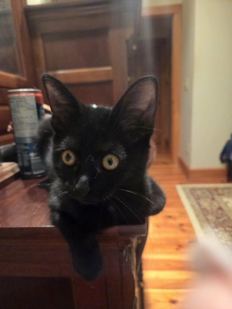 Bruce Wayne, photo 3