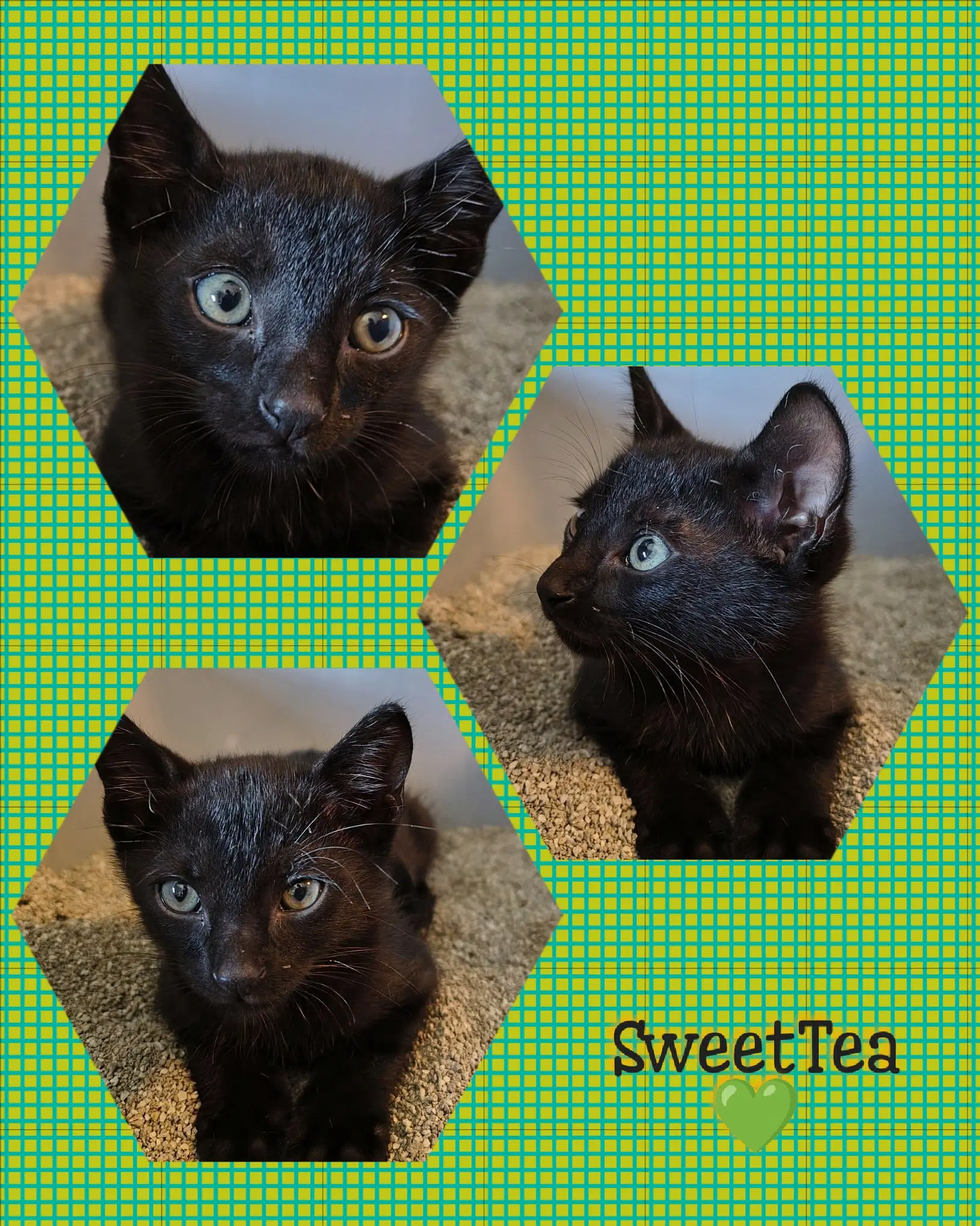 Sweet T image 3