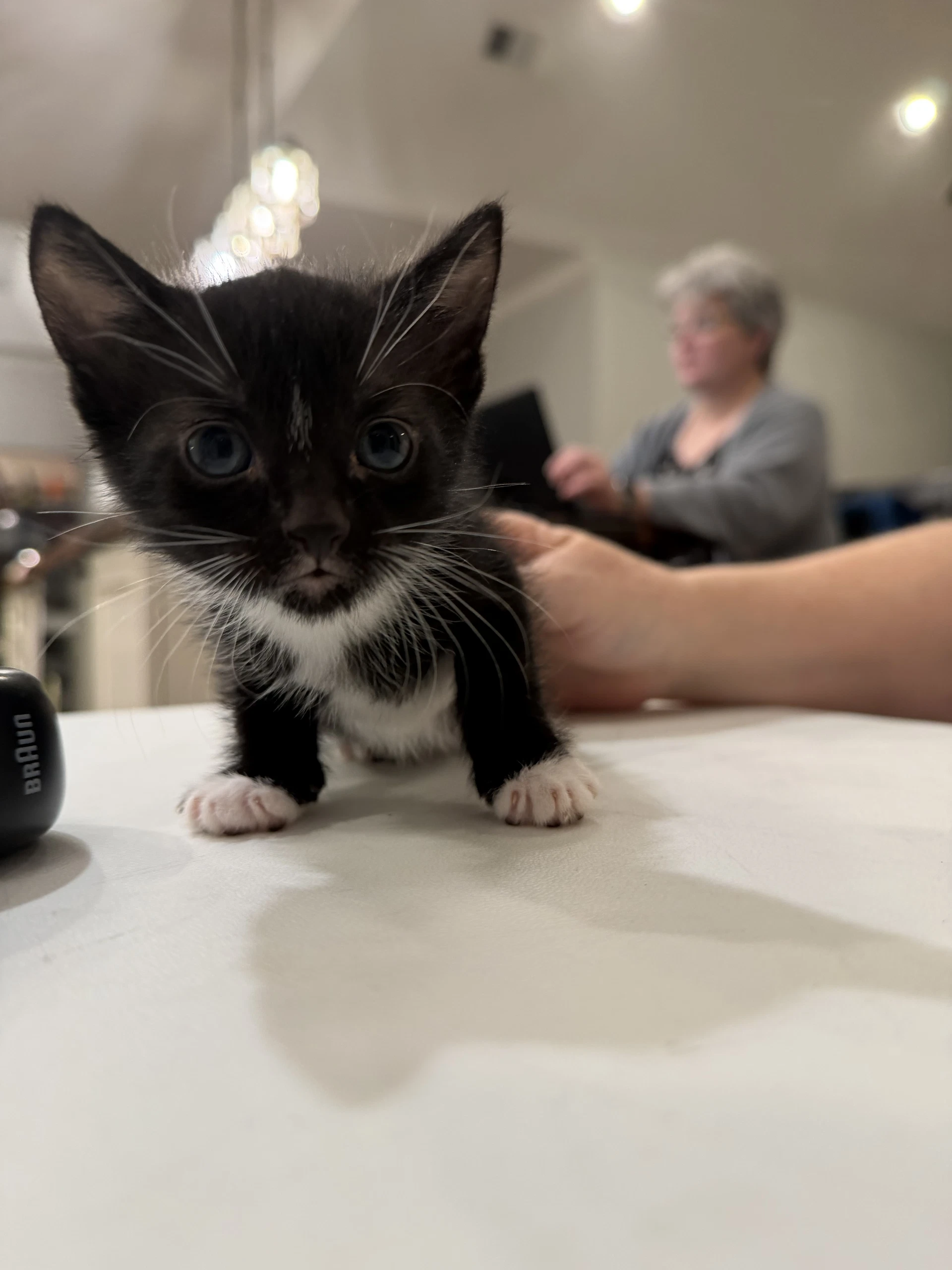 Carmen Lopez Available For Pre-Adoption
