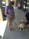 Ruger*adoption pending