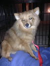 Carter *Adoption pending