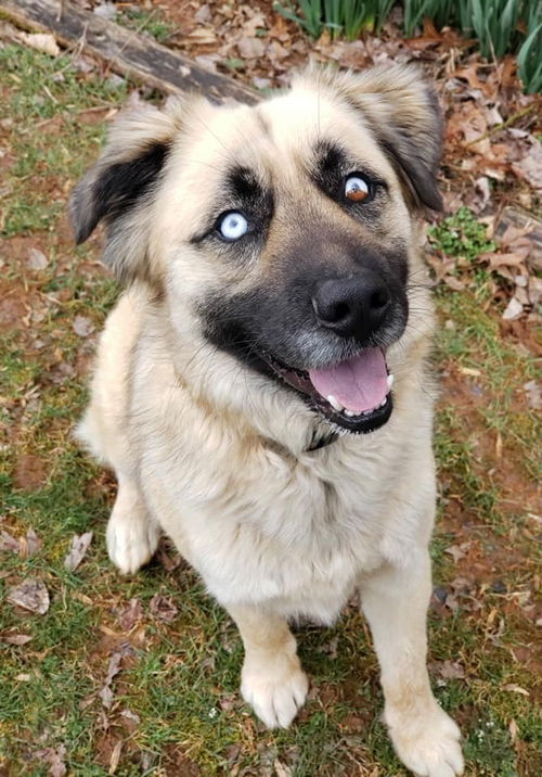 Zeke*Energetic and ready to play