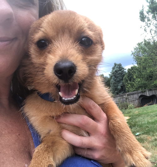 Rufus