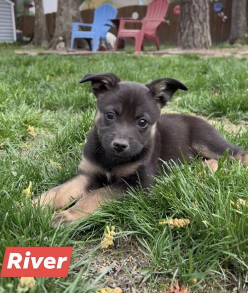 River *Floofy Five