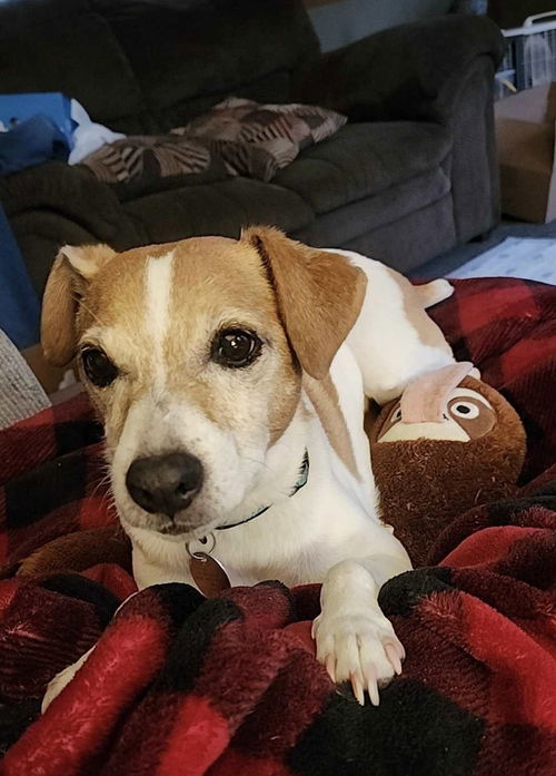 Baxter