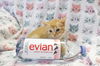 *Evian