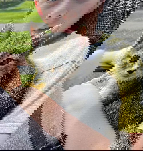 *Jade