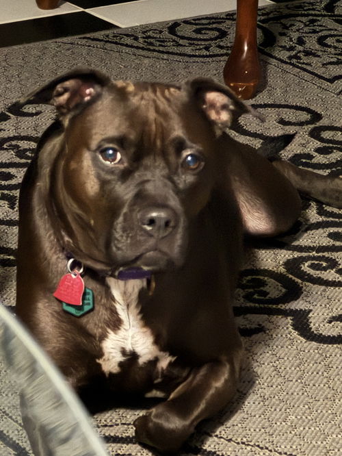 Roxie
