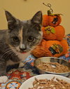*Felicia - Photo 4