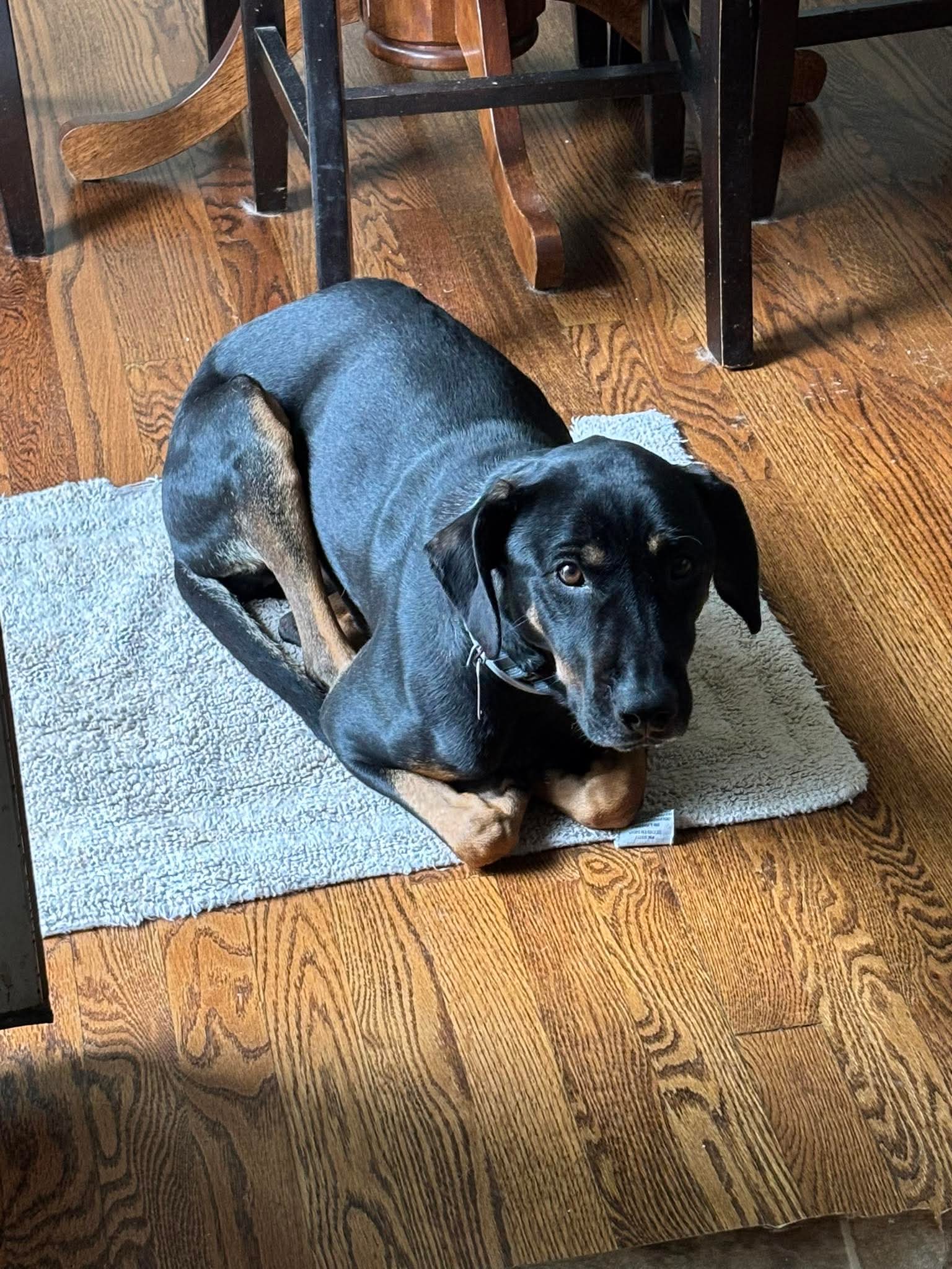 Pepper