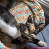 *Zezi - Photo 3