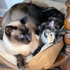 *Zezi - Photo 4