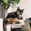*Zezi - Photo 2