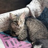 *Rhona - Photo 5