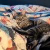 *Rhona - Photo 7