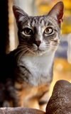 *Franklin McCloud - Photo 1