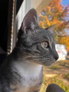 *Franklin McCloud - Photo 4