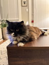 *Enid - Photo 2