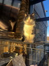 *Robin - Photo 8