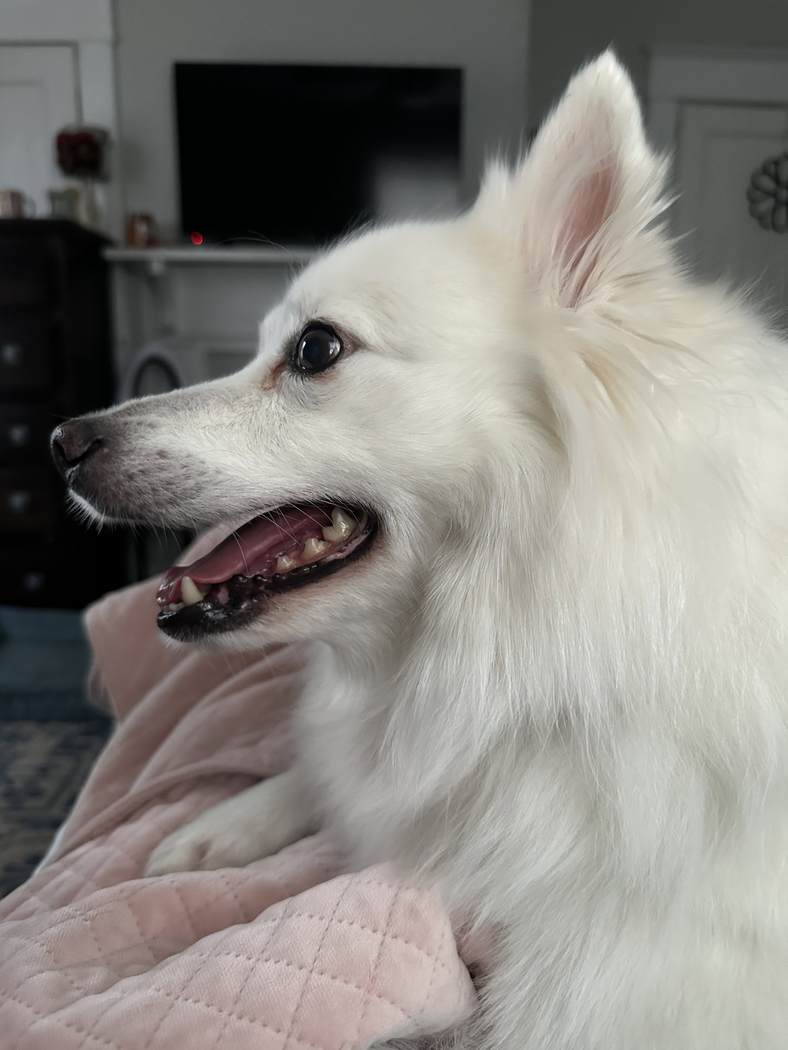 Jackson