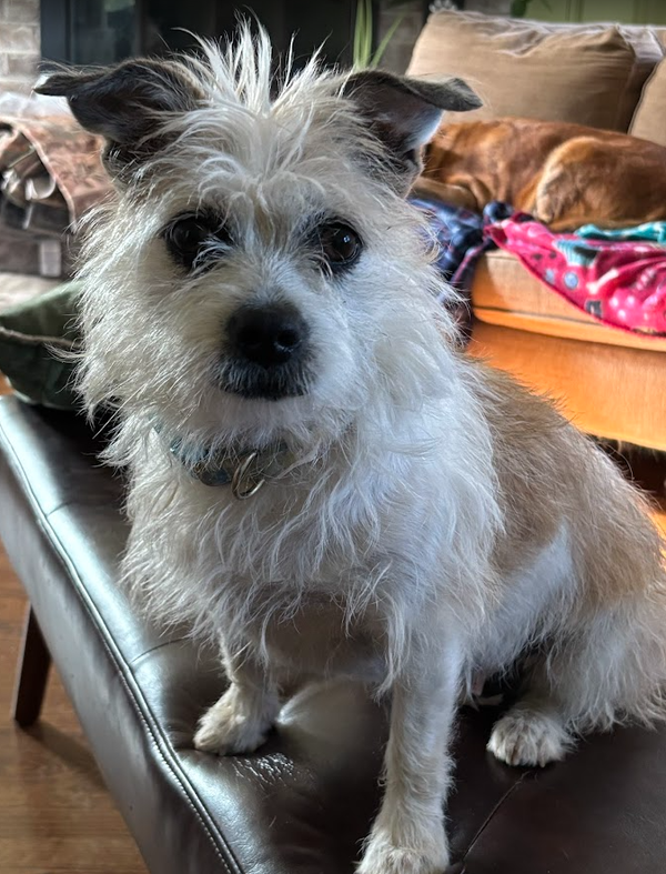 Bella
