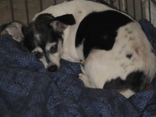Photo 2 of Matilda