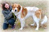 Harvey *100 pound lap dog*