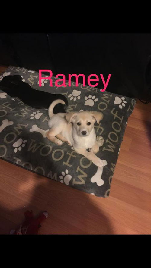 Ramey