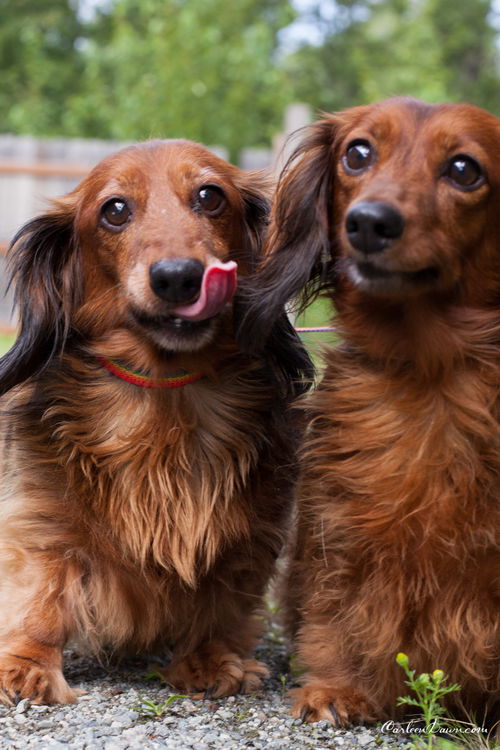 Annie and LuLu