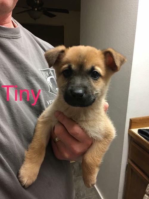 Tiny