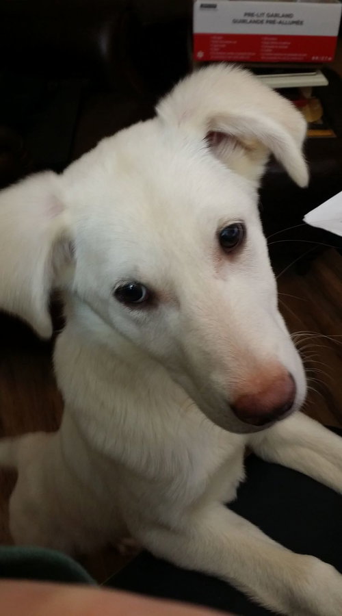 Freya