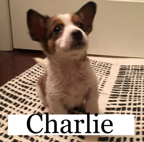 Charlie