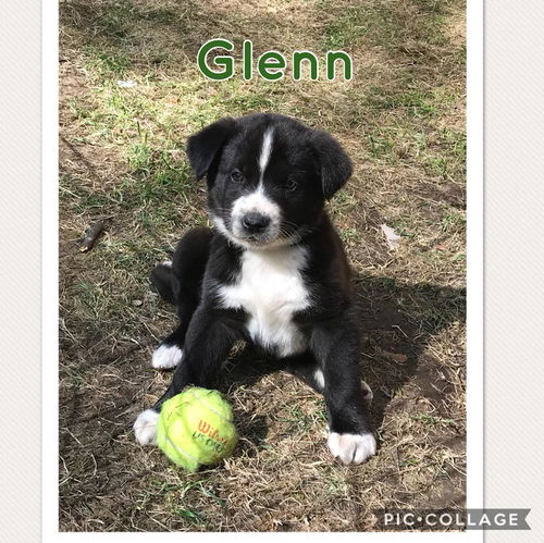 Glen