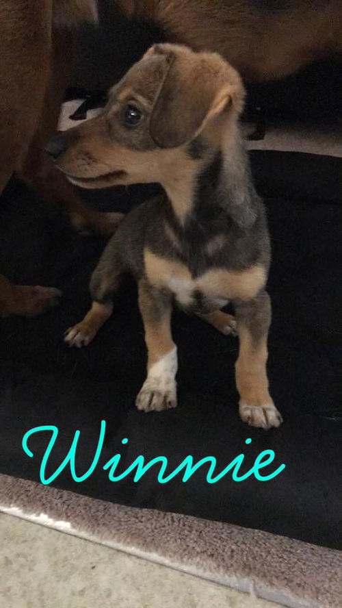 Winnie