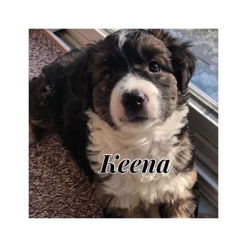 Keena