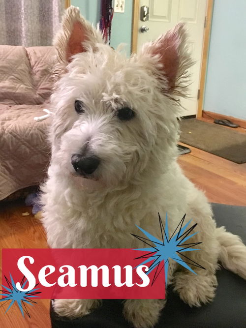 Seamus