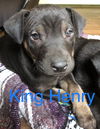 King Henry