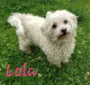 Lola