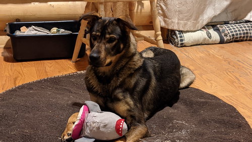 Kona