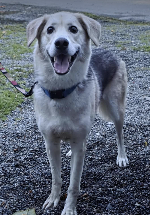 Milo