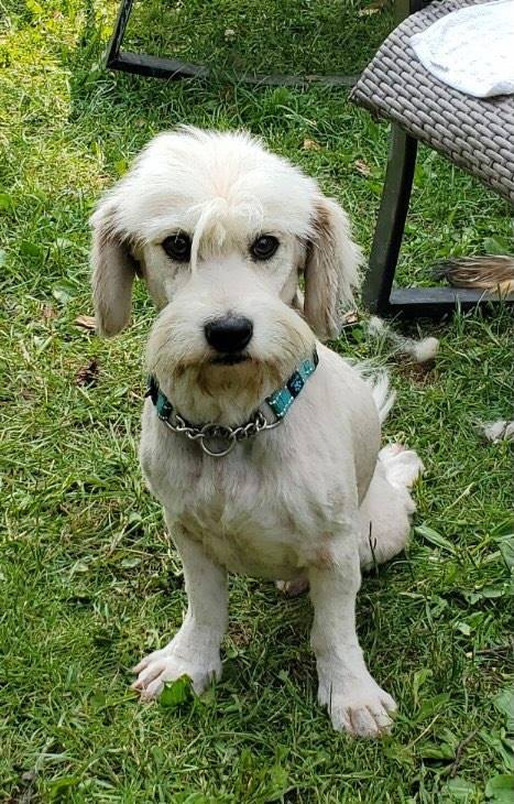Tucker