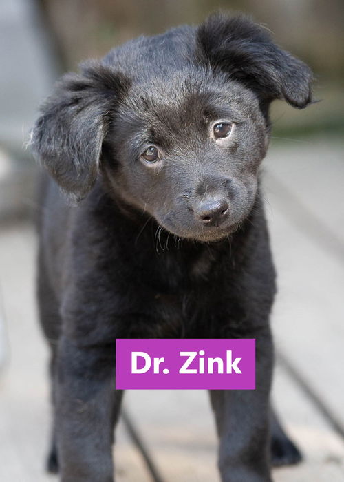 Dr. Zinc