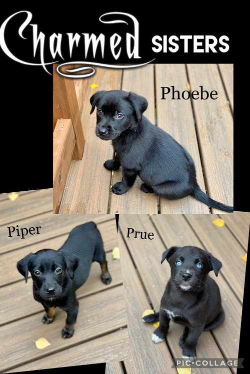 Prue