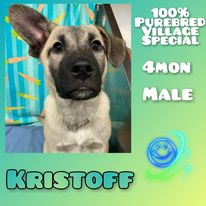 Kristoff